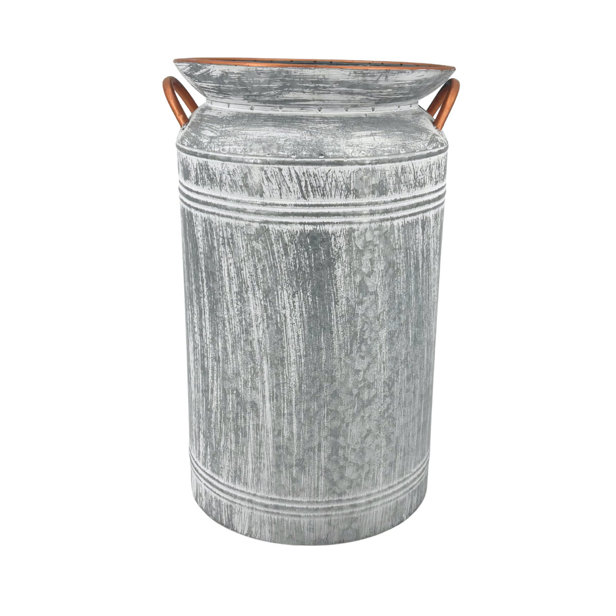 Gracie Oaks Milk Jug Metal Planter - Medium | Wayfair